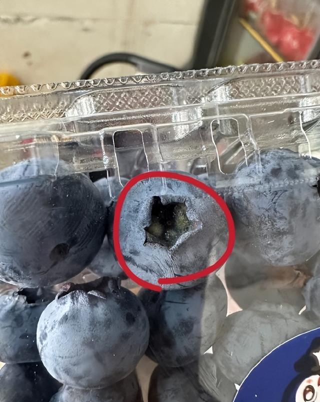 价格已腰斩，以前论克买，现在按斤算！重要提醒：吃之前别忘了“掏耳朵”