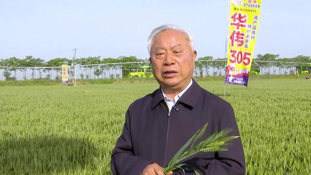抗旱浇水+“一喷三防”！河南各地抓住时机做好小麦后期管理