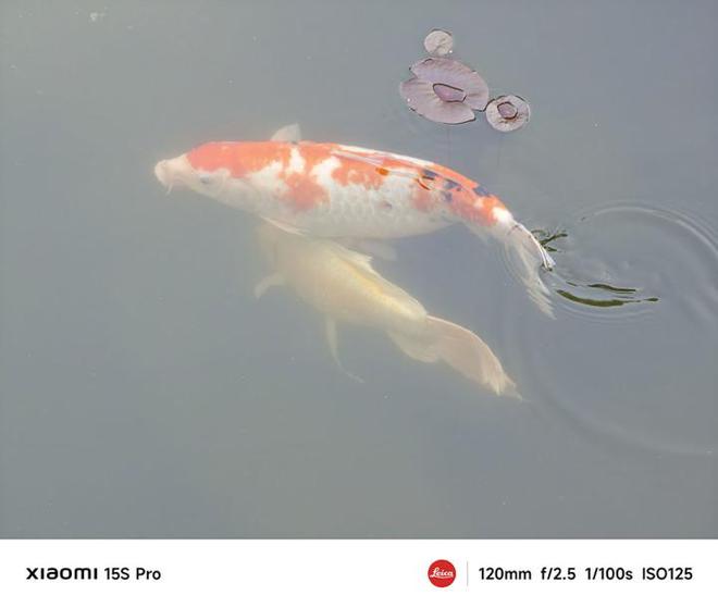 小米15S Pro评测 首发自研芯片体验远超预期