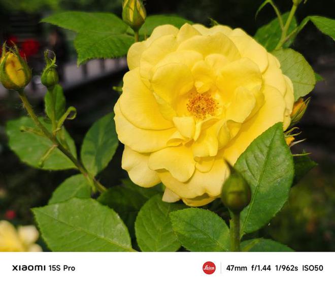 小米15S Pro评测 首发自研芯片体验远超预期