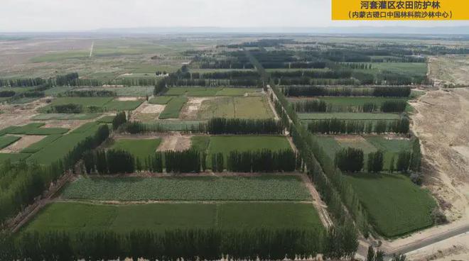 从荒漠到绿洲，中国治沙人用 45 年铸就生态奇迹