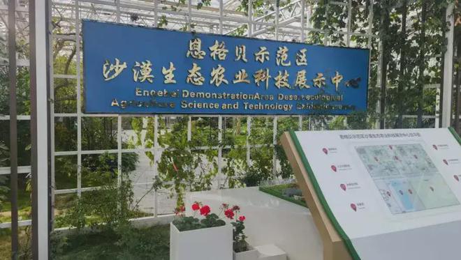 从荒漠到绿洲，中国治沙人用 45 年铸就生态奇迹