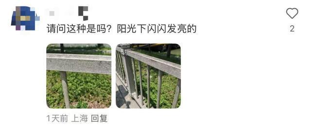 不要摸！不要摸！上海多区发现，有女子崩溃：去医院也清理不干净