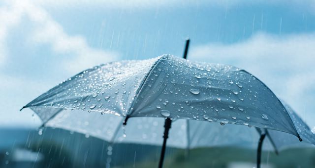 注意！要刮大风落雨了！未来一周重庆天气戳这里→
