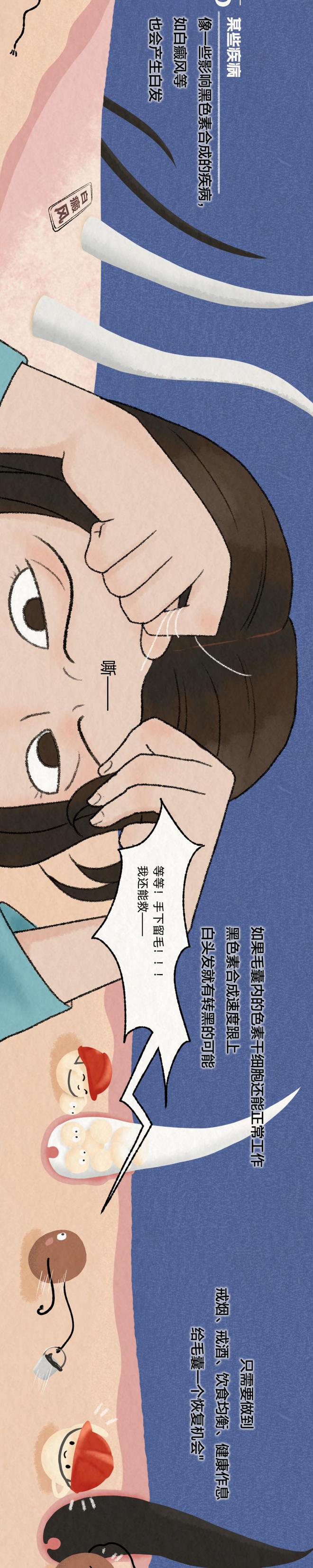 你的白发就是这样一点点长出来的！全过程曝光