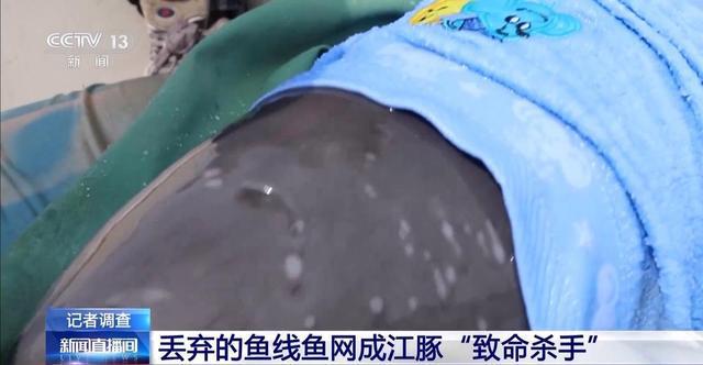 央视曝光保护区里的“疯狂垂钓” 渔线成为江豚致命杀手