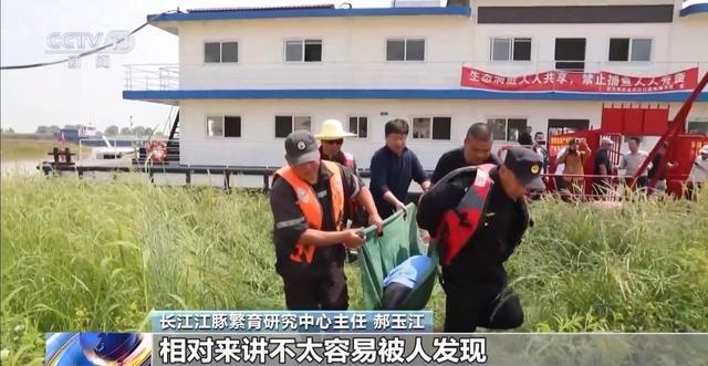 央视曝光保护区里的“疯狂垂钓” 渔线成为江豚致命杀手