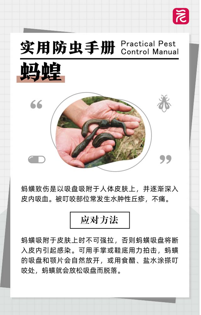 沙发上睡一觉被虫咬，差点截趾！严重或危及生命，千万当心！