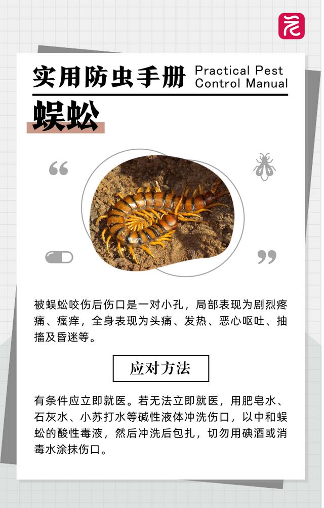 沙发上睡一觉被虫咬，差点截趾！严重或危及生命，千万当心！