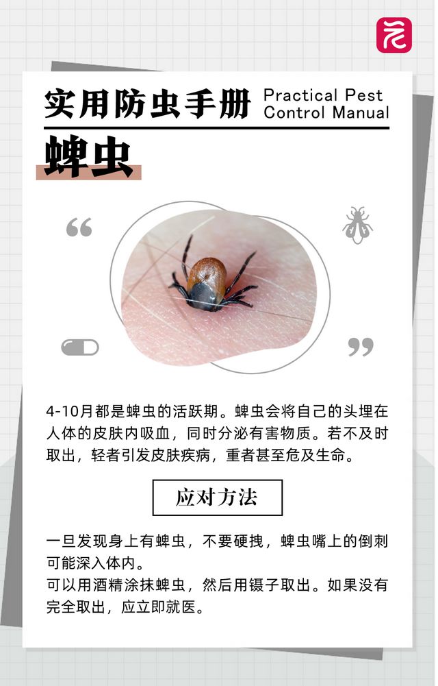 沙发上睡一觉被虫咬，差点截趾！严重或危及生命，千万当心！