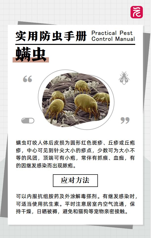沙发上睡一觉被虫咬，差点截趾！严重或危及生命，千万当心！
