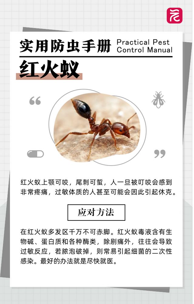 沙发上睡一觉被虫咬，差点截趾！严重或危及生命，千万当心！