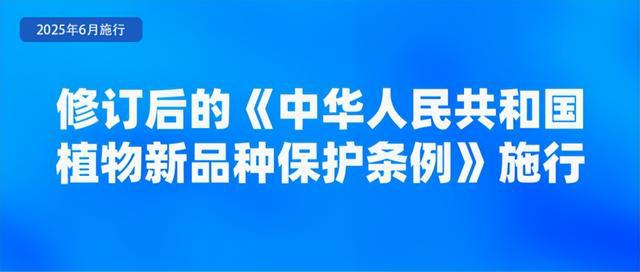 6月起，这些新规将影响你我生活！