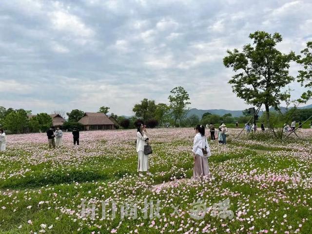 大转折，就在今晚！刚刚，杭州发布重要提醒：即将进入高峰