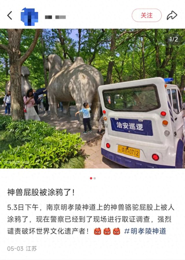 南京明孝陵石兽遭涂鸦
