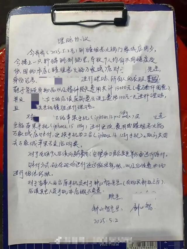 坠锅猫咪仍不治身亡！店主因处置到位获赞无数，生意反而更好了