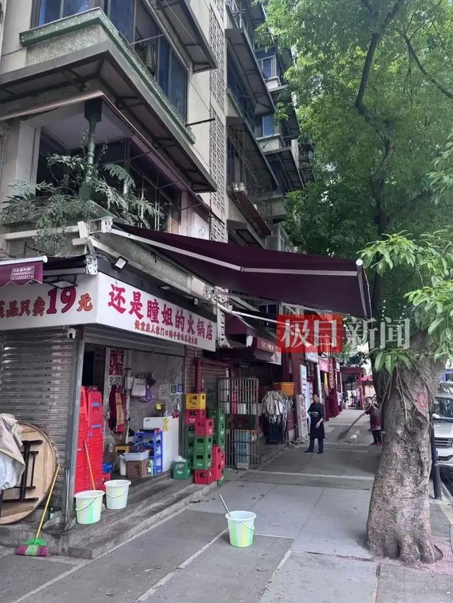 坠锅猫咪仍不治身亡！店主因处置到位获赞无数，生意反而更好了