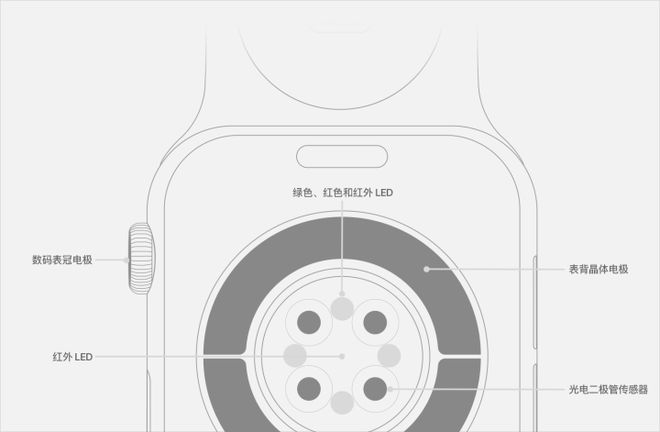 Apple Watch十周年：锚定健康的极致产品力，铸就穿戴王者
