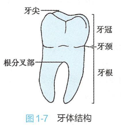 给曹操一盒布洛芬，能拯救他的头痛吗？