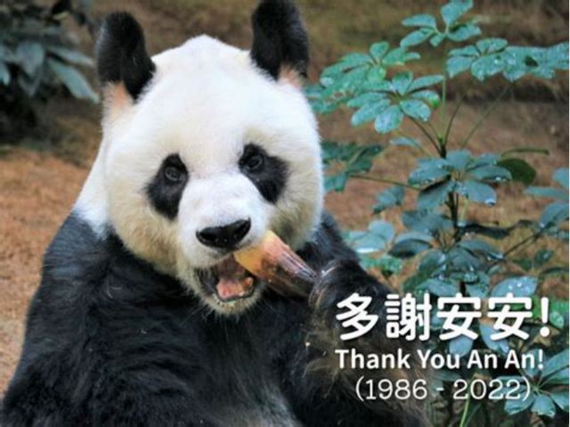这些动物寿命都比人类长，乌龟都比不了！秘密在于……