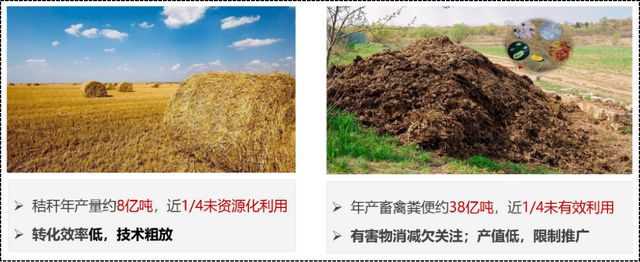 中国科学家发现：这种云南菌子，有大用！！！