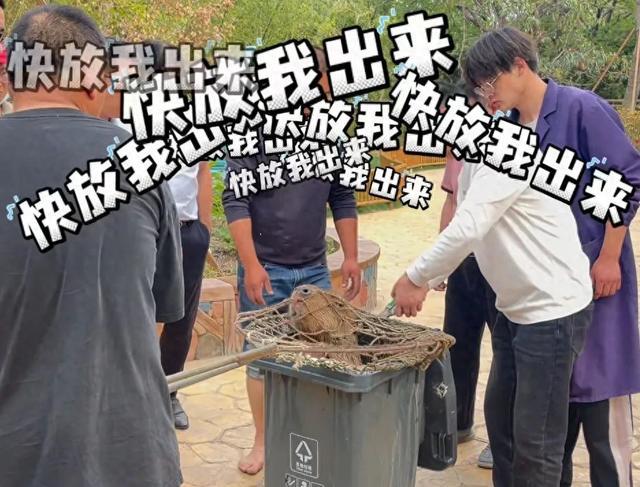 “越狱”卡皮巴拉“豆包”仍在逃，园方升级悬赏奖励，敦促其主动投案：回来过有编制的好日子