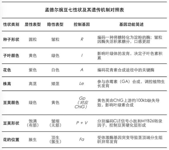 跨越时空的科学对话：现代科学解160年前的遗传学密码
