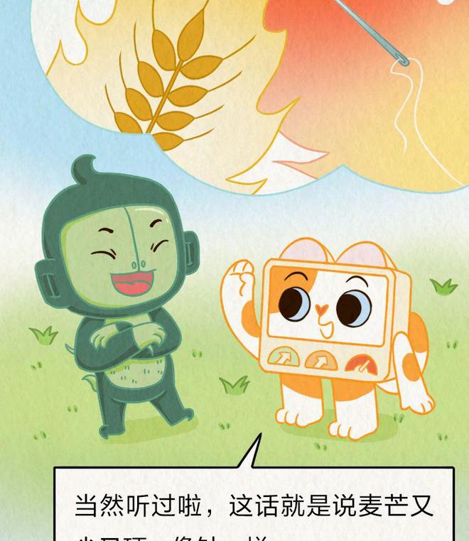 今日芒种｜“针尖对麦芒”里的“麦芒”是啥？竟然还会自己挖洞！