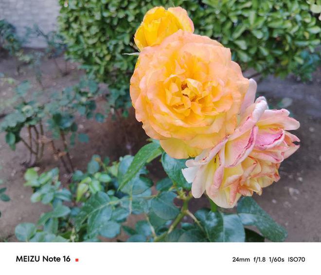 魅族Note 16评测：真旗舰质感百元级新卷王