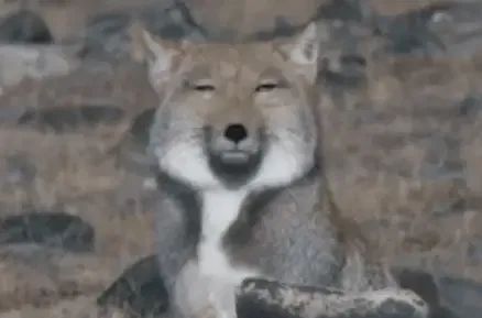 这种病夺走过十几万人性命，夏季高发，一定要注意！