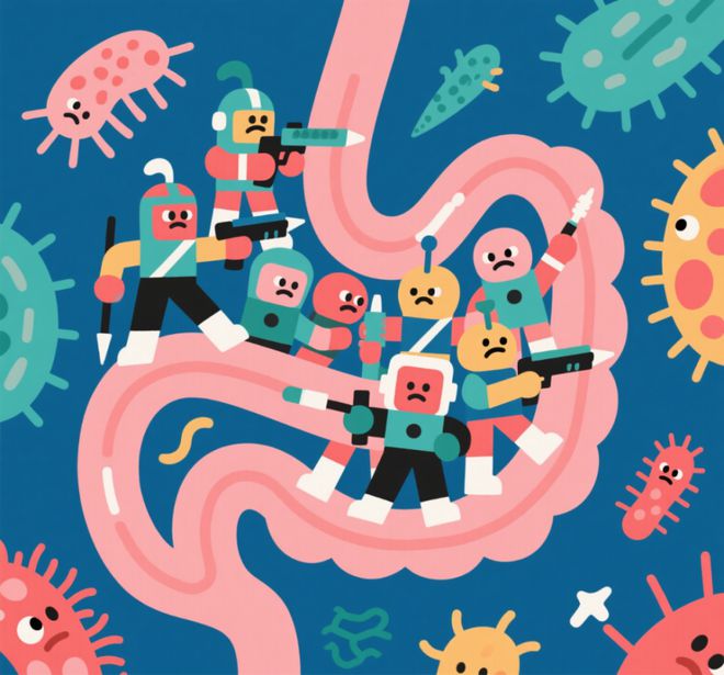 科学家揭秘：咖啡如何改变你的肠道“微生物王国”？