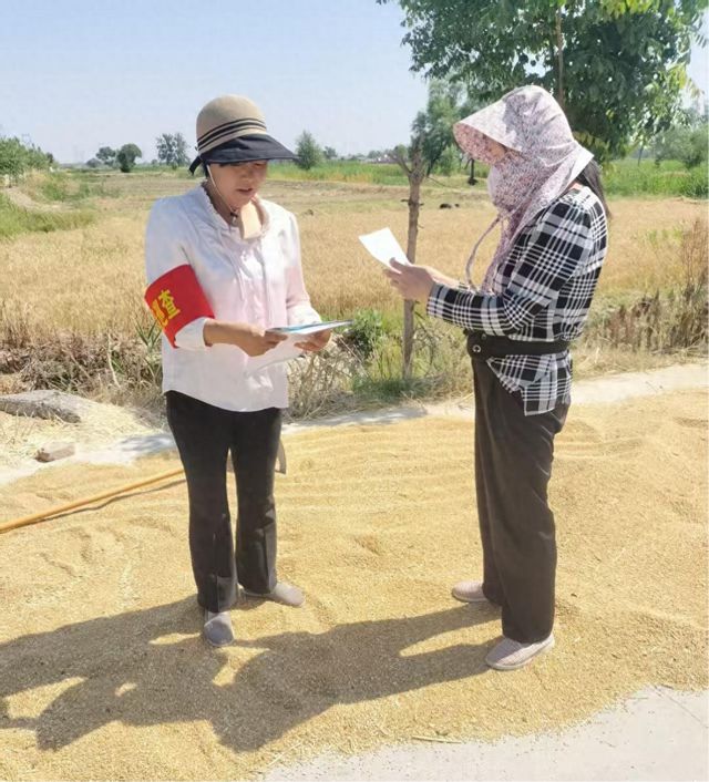 范县：接天莲叶无穷碧 “民主之花”别样红